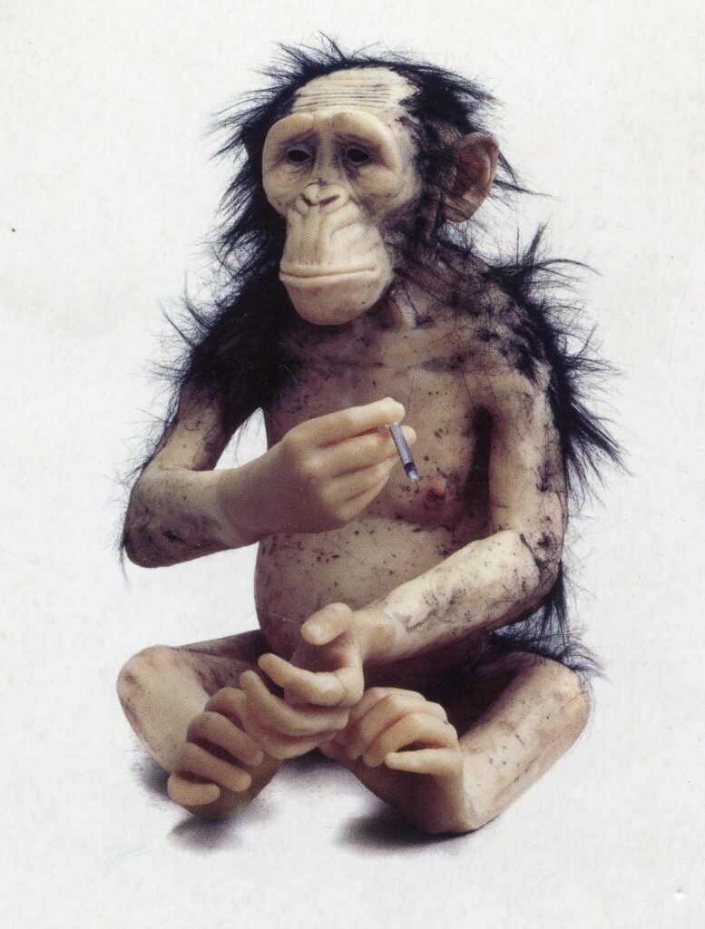 A very dishevelled monkey looks like it's about to shoot up some herion. He doesn't look happy about it.