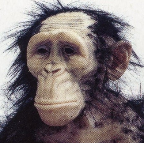 A sad, dishevelled ape